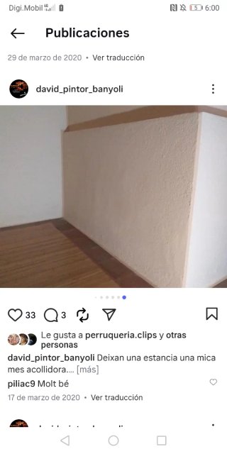 Pintor banyolí