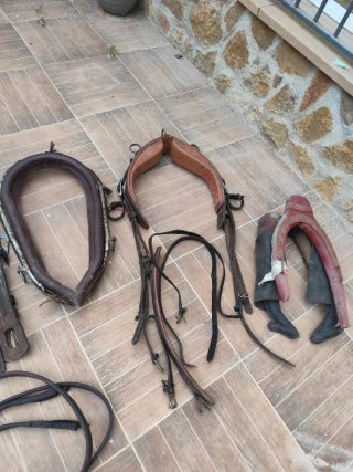 Arreos para caballos de cuero