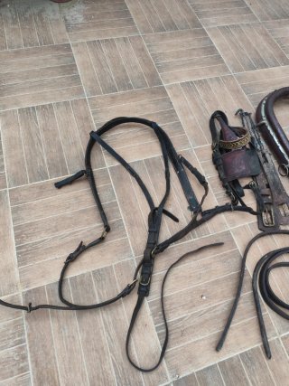 Arreos para caballos de cuero