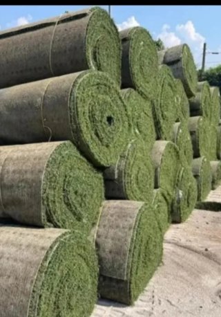 CÉSPED ARTIFICIAL DE CAMPOS DE FUTBOL PROFESIONAL