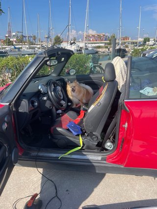 MINI Cabrio 2008