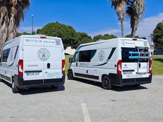 Fiat Ducato  Ducato  2019