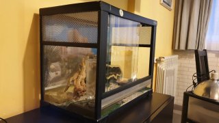Terrario para reptiles