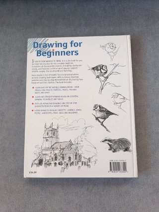 2 Libros Dibujo: Beginners y Rostros