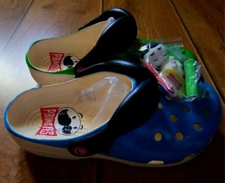 Crocs Pringles Azul y Verde