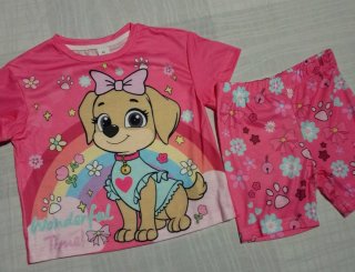 Conjunto infantil Skye Paw Patrol
