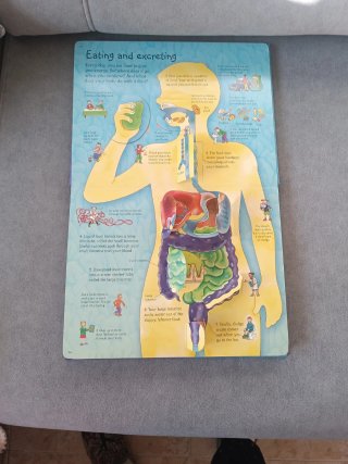 Libro Usborne See Inside Your Body