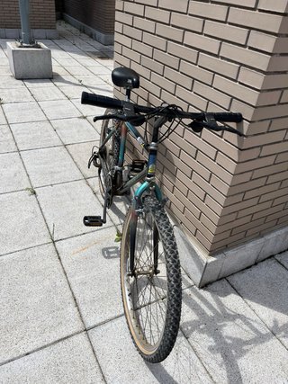 Bicicleta Orbea Sherpa
