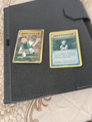 Entrenador Valentía de Brock Pokémon  2 cartas