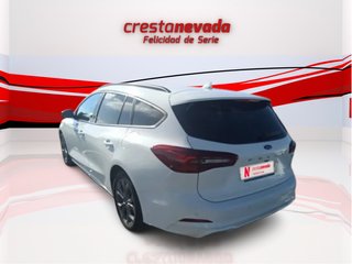 SIN ENTRADA Ford Focus 2023 ST STLINE ETIQ ECO 155