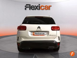 Citroën C5 Aircross BlueHdi 96kW (130CV) S&S Shine