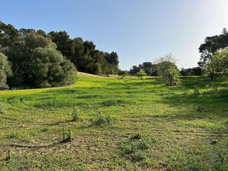 Terreno en venta en Porreres