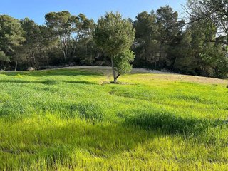 Terreno en venta en Porreres