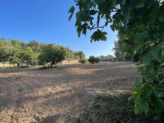 Terreno en venta en Porreres