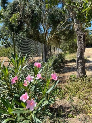Terreno en venta en Porreres