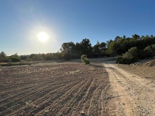 Terreno en venta en Porreres