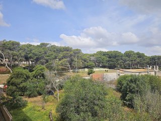 Piso en venta en Zona Pueblo en Guardamar del Segura
