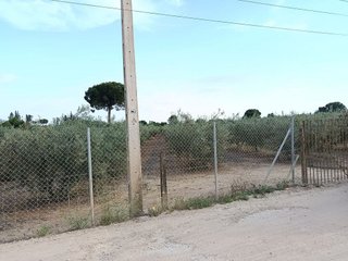 Terreno en venta en Espartinas