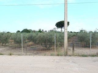 Terreno en venta en Espartinas