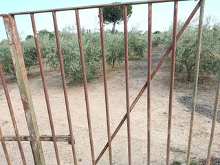 Terreno en venta en Espartinas