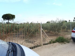 Terreno en venta en Espartinas