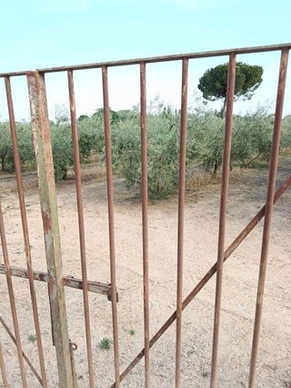 Terreno en venta en Espartinas