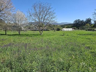 Terreno en venta en Tui