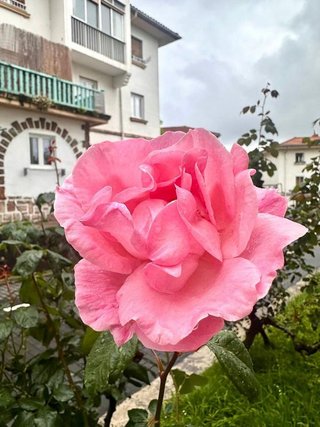 Piso en venta en Capuchinos - Galtzaraborda en Errenteria