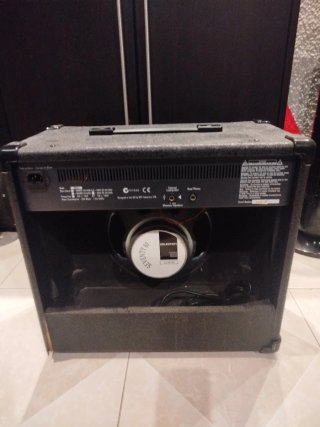 Guitarra Eléctrica y amplificador