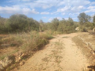 Terreno en venta en Ulldecona