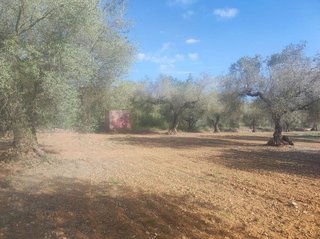 Terreno en venta en Ulldecona