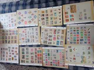 Colección de sellos