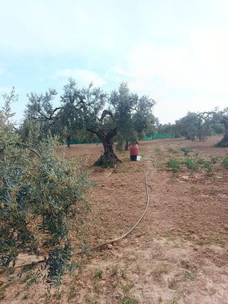 Terreno en venta en Villanueva del Ariscal