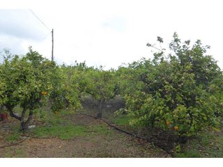 Casa rural en venta en Zona Poble en Benicarló