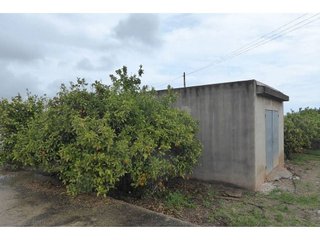 Casa rural en venta en Zona Poble en Benicarló