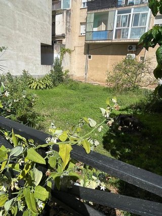 Solar en venta en Selva del Camp, La