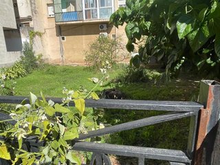 Solar en venta en Selva del Camp, La