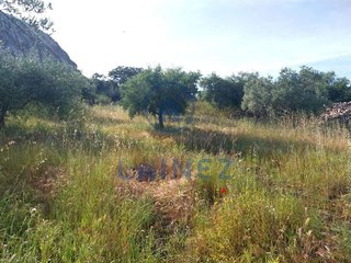Terreno en venta en Peñarroya-Pueblonuevo