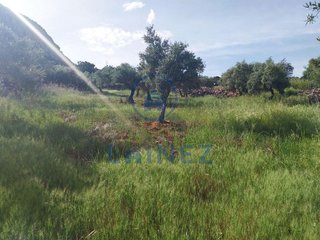 Terreno en venta en Peñarroya-Pueblonuevo