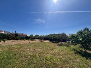 Terreno en venta en Palacios y Villafranca (Los)