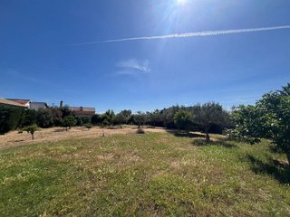 Terreno en venta en Palacios y Villafranca (Los)