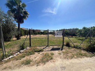 Terreno en venta en Palacios y Villafranca (Los)