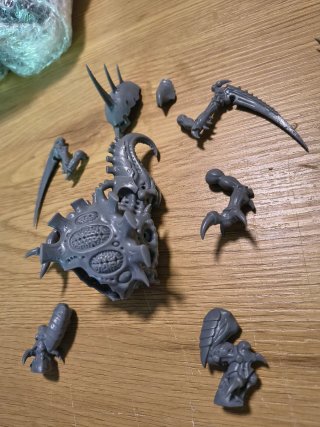Maleceptorr Space Bugs