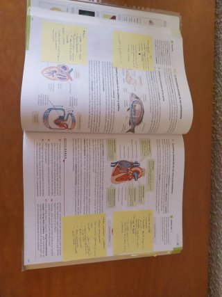 Biología, Geología y Ciencias Ambientales 1o Ba...