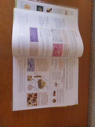 Biología, Geología y Ciencias Ambientales 1o Ba...