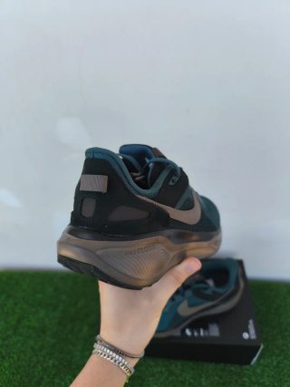 Nike Air Zoom Pegasus 41 Special Edition