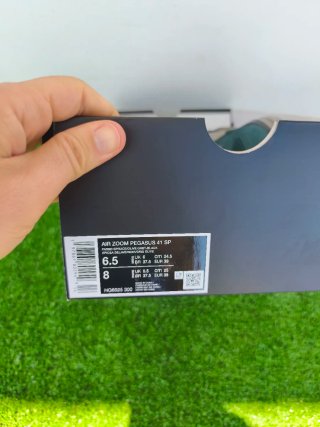 Nike Air Zoom Pegasus 41 Special Edition