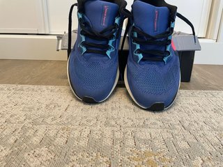 Nike Air Zoom Pegasus 41