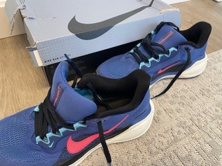 Nike Air Zoom Pegasus 41