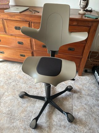 Silla HAG Capisco Puls 8010 color arcilla/negro